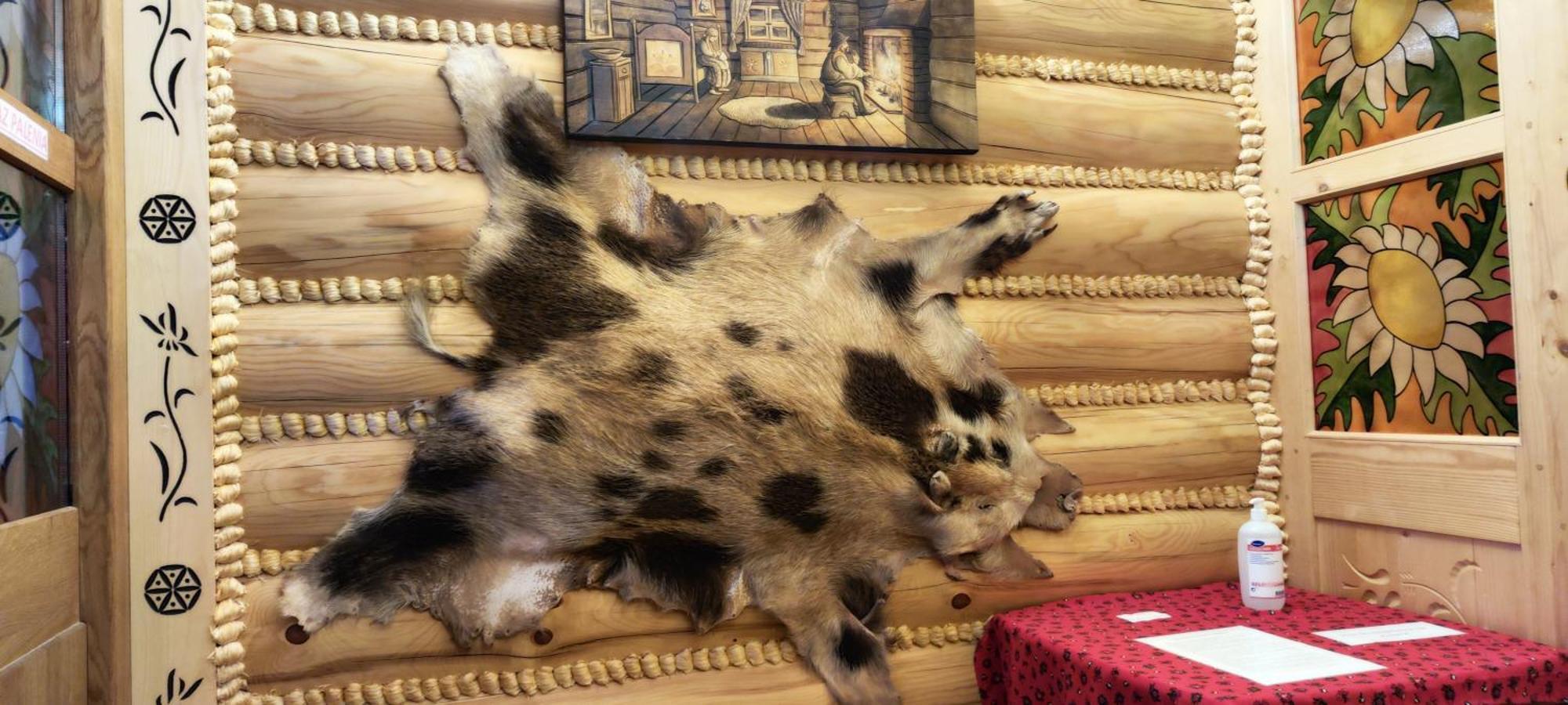 Chata Goralska I Pokoje Goscinne チェホチネク エクステリア 写真