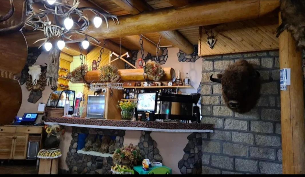 Chata Goralska I Pokoje Goscinne チェホチネク エクステリア 写真